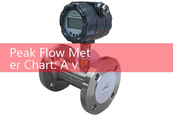 Peak Flow Meter Chart: A visual record used to log and track measurements of lung capacity over time.